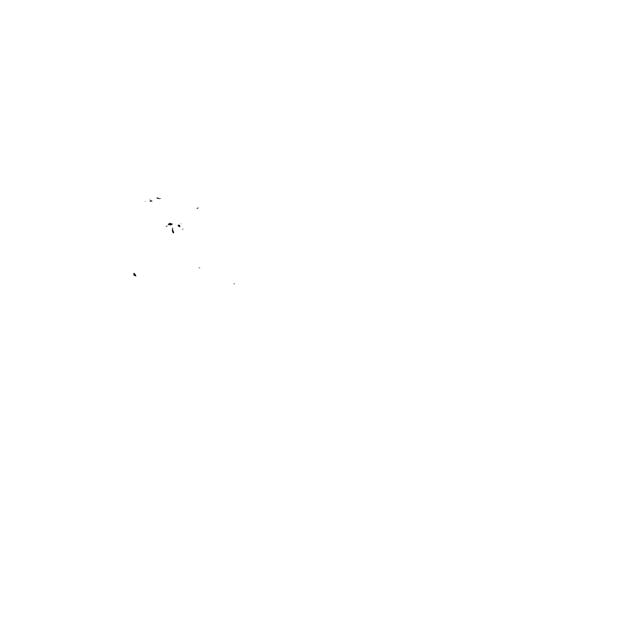 discoverylogo white_alt